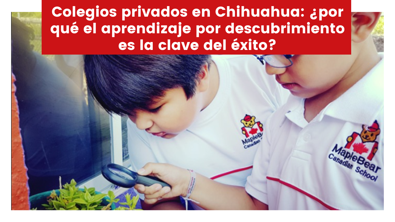 En este momento estás viendo Colegios privados en Chihuahua: ¿por qué el aprendizaje por descubrimiento es la clave del éxito?