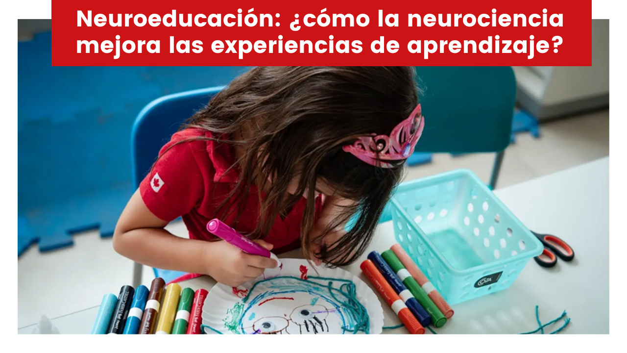 Lee más sobre el artículo Neuroeducación: ¿cómo la neurociencia mejora las experiencias de aprendizaje?