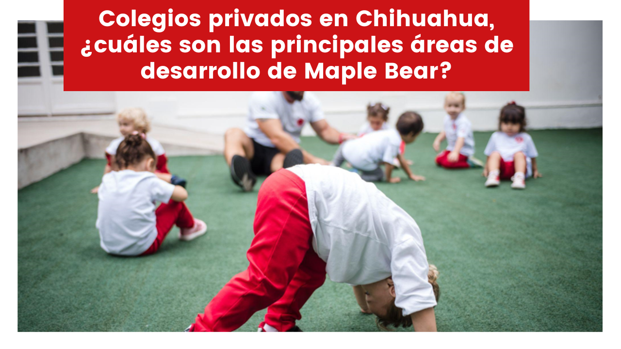 Colegios privados en Chihuahua, ¿cuáles son las principales áreas de desarrollo de Maple Bear?